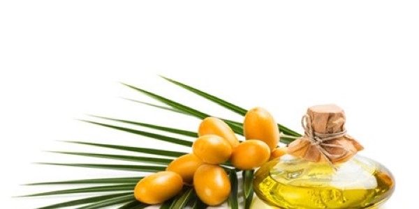 تصویر 2 از قیمت خرید روغن هسته خرما عمده به صرفه و ارزان